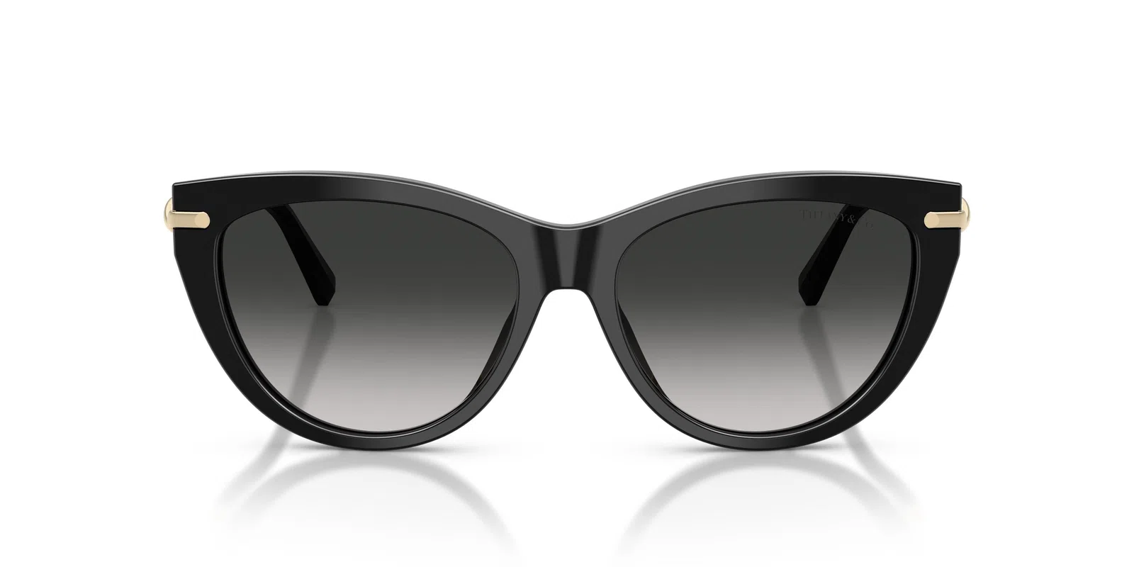 Tiffany 4253F Sunglasses - view 17